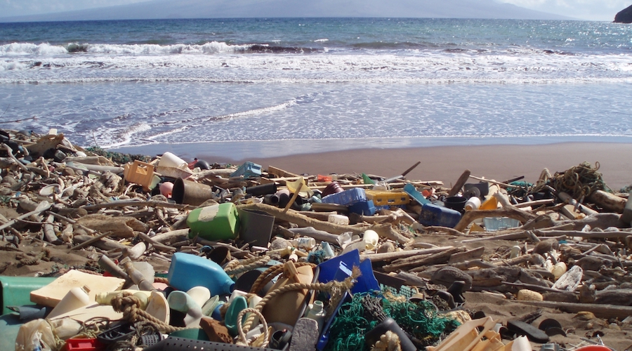 Atención: Botar basura en playas, ríos y parques te puede costar 192