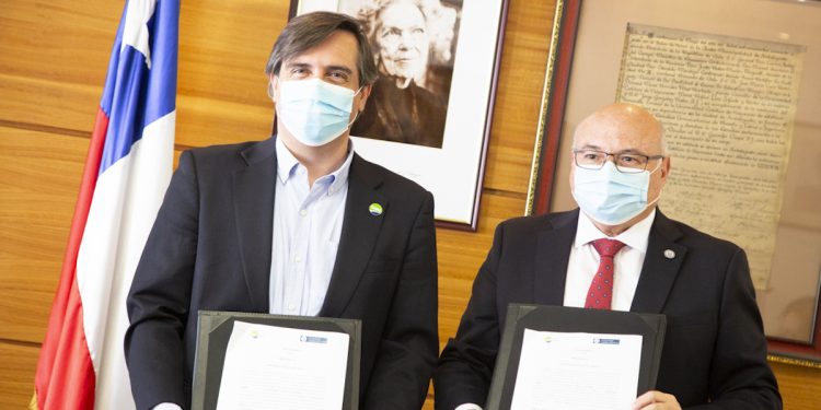 UCN y SQM desarrollarán en conjunto actividades de investigación, docencia y vinculación