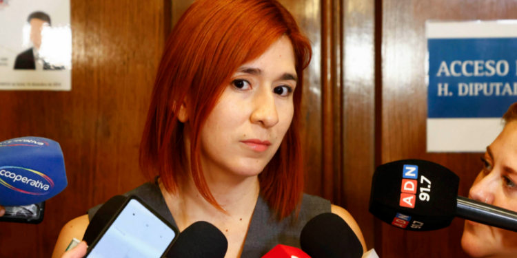 CDE amplía querella contra diputada Pérez por caso Democracia Viva